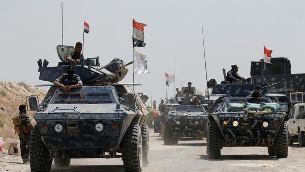 Iraqi federal police advance towards Falluja - Sputnik Mundo