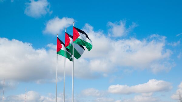 Banderas de Palestina (archivo) - Sputnik Mundo