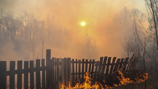 Incendios forestales en Lejano Oriente de Rusia - Sputnik Mundo