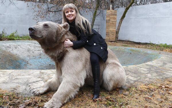 El oso Stepán juega con Svetlana en el Parque Losiny Ostrov - Sputnik Mundo