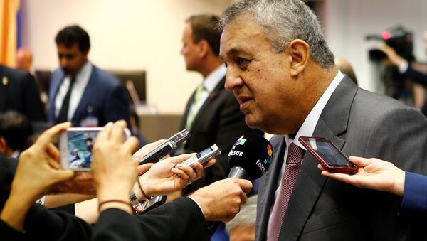 Venezuela's Oil Minister del Pino talks to journalists before a meeting of OPEC oil ministers in Vienna - Sputnik Mundo