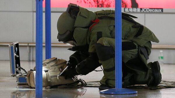 Un zapador chino examina una bolsa en el aeropuerto Pudong, Shanghái - Sputnik Mundo