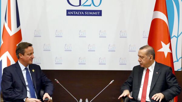 primer ministro británico David Cameron con el presidente turco Recep Tayyip Erdogan - Sputnik Mundo