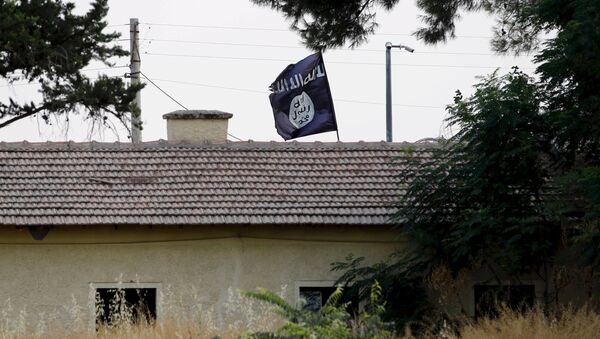 An Islamic State flag - Sputnik Mundo