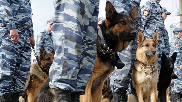 Perros de la Unidad Canina de Rescate del Ministerio de Situaciones de Emergencias de Rusia - Sputnik Mundo