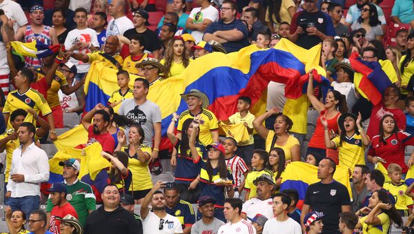Hinchas de Colombia durante un partido de la Copa America Centenario - Sputnik Mundo