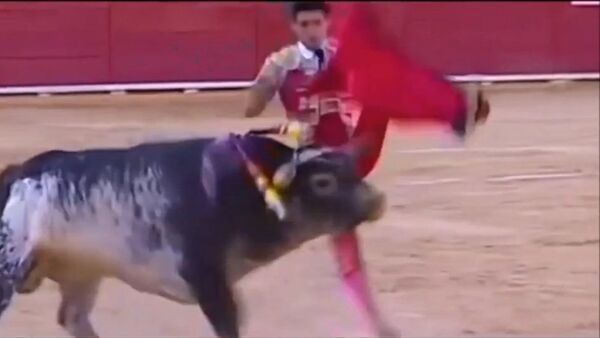 Víctor Barrio siendo atacado por un toro - Sputnik Mundo