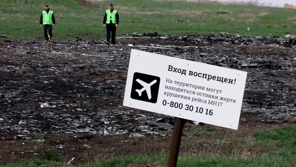 El lugar de la catástrofe de MH17 Boeing - Sputnik Mundo