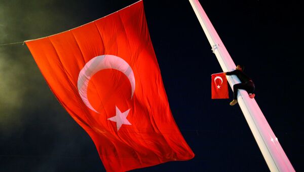 Los partidarios del Gobierno turco - Sputnik Mundo