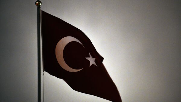 Bandera de Turquía - Sputnik Mundo