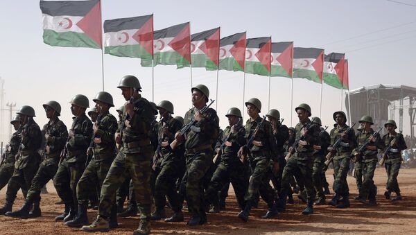 Miembros del Ejército de la Liberación del Pueblo Saharaui con las banderas del Frente Polisario en el campamento de los refugiados del Sahara Occidental Dajla en la provincia de Tinduf - Sputnik Mundo