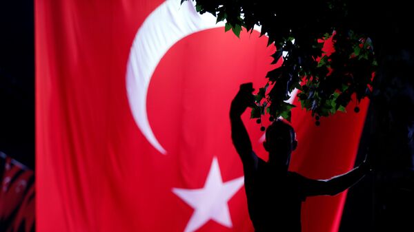 A supporter of Turkish President Tayyip Erdogan takes a selfie in front of a giant Turkish national flag during a pro-government demonstration at Taksim square in central Istanbul - Sputnik Mundo