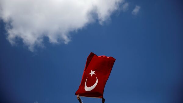 A supporter of Turkish President Tayyip Erdogan waves a Turkish flag during a pro-government demonstration in Sarachane park in Istanbul - Sputnik Mundo