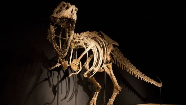 Esqueleto del dinosaurio - Sputnik Mundo