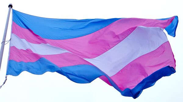 Bandera del Orgullo Transgénero - Sputnik Mundo