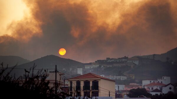 Incendios en las Islas Canarias - Sputnik Mundo