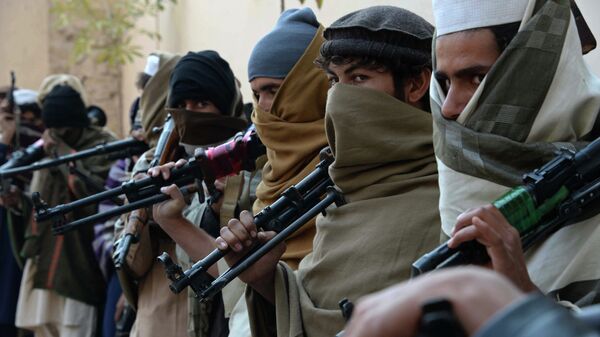 Combatientes del movimiento talibán en Afganistán - Sputnik Mundo