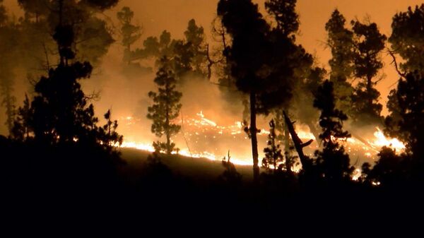Incendio forestal en España, foto de archivo - Sputnik Mundo