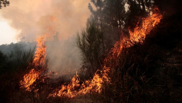Incendios forestales en Galicia - Sputnik Mundo