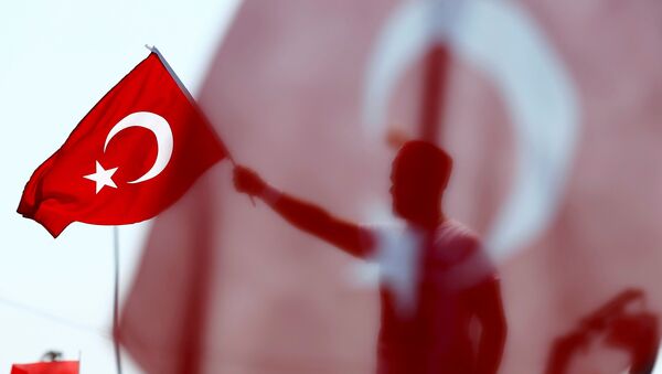 A man waves Turkey's national flag during the Democracy and Martyrs Rally - Sputnik Mundo