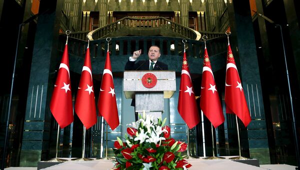 El mandatario turco Tayyip Erdogan en el palacio presidencial - Sputnik Mundo