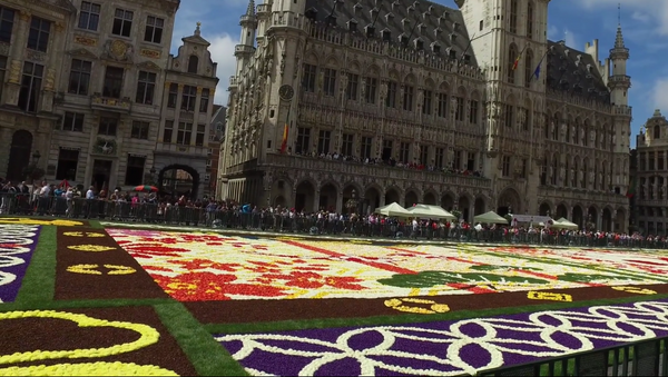 Brussels Flower Carpet 2016 - Sputnik Mundo
