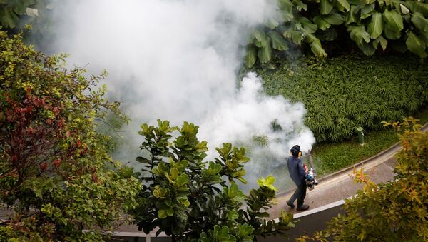 Virus del zika en Singapur - Sputnik Mundo