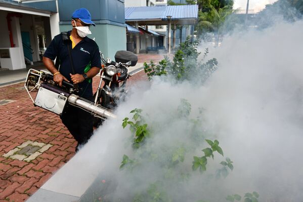 Trabajos de prevención en las áreas de detección del Virus del Zika en Singapur. - Sputnik Mundo