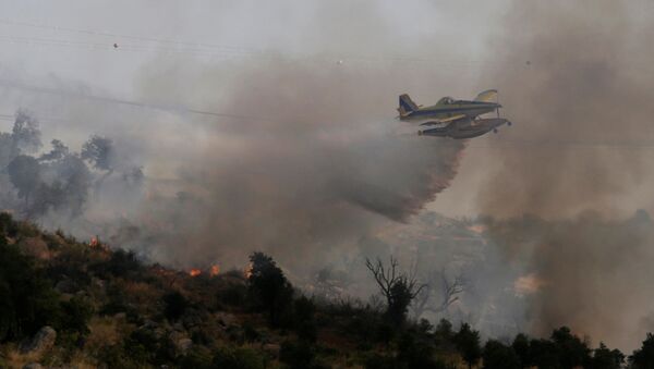 Los incendios forestrales en Portugal - Sputnik Mundo