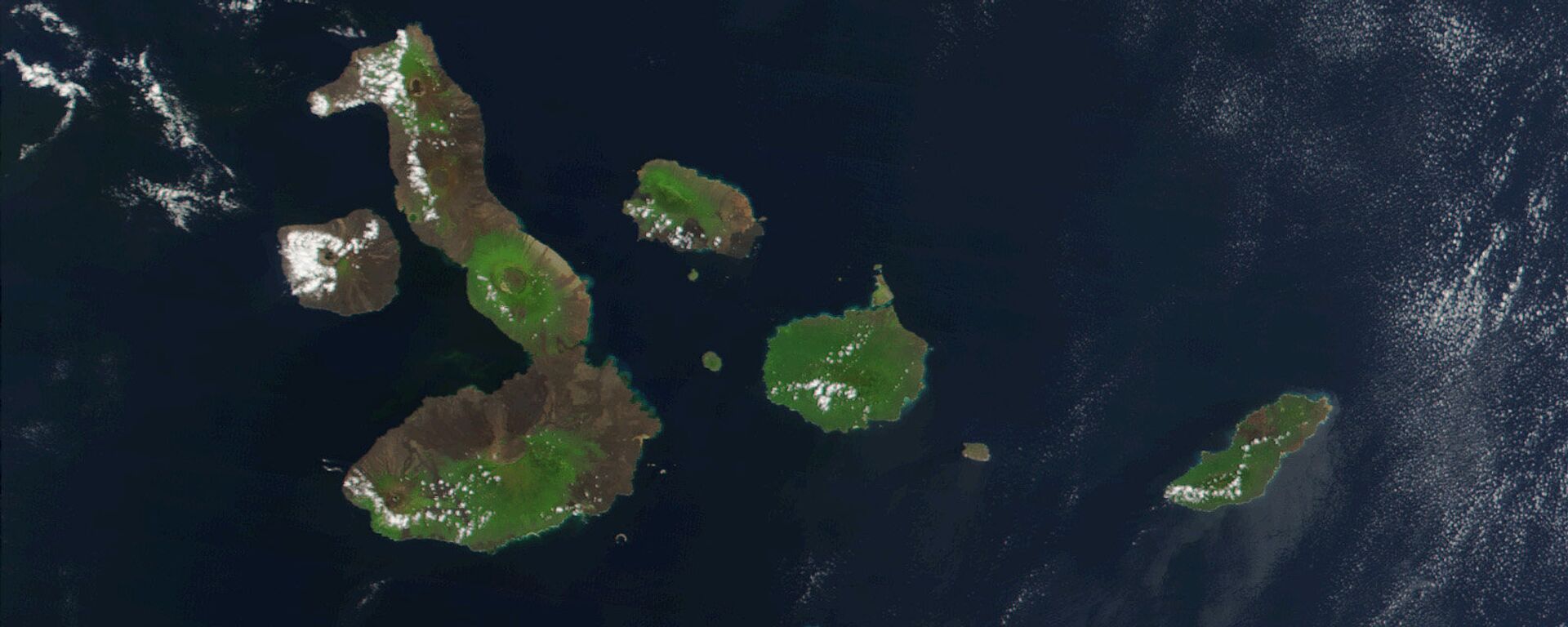 Las Islas Galápagos - Sputnik Mundo, 1920, 05.11.2021