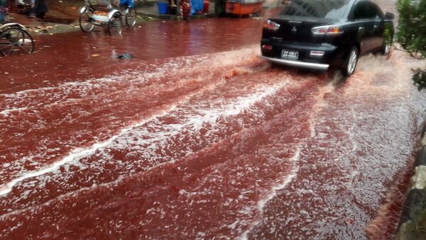 Ríos de sangre inundan las calles de Bangladés - Sputnik Mundo