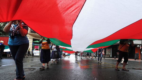 Pro independence demonstrators carry a big Ikurrina (Basque flag) as they protest in favour of the Basque flag (Ikurrina) - Sputnik Mundo