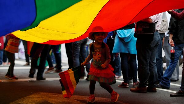 La bandera de arcoíris que representa a las personas LGBT - Sputnik Mundo