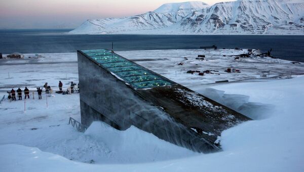 Banco Mundial de Semillas en la isla de Svalbard, Noruega - Sputnik Mundo