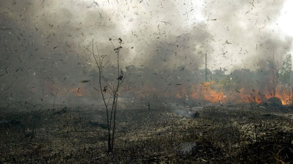Los incendios forestales en Bolivia  - Sputnik Mundo