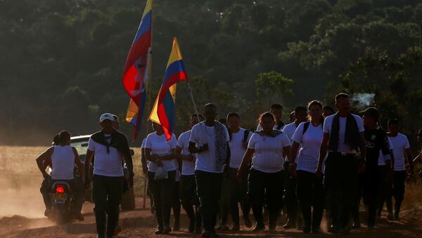 Los combatientes de las FARC (archivo) - Sputnik Mundo