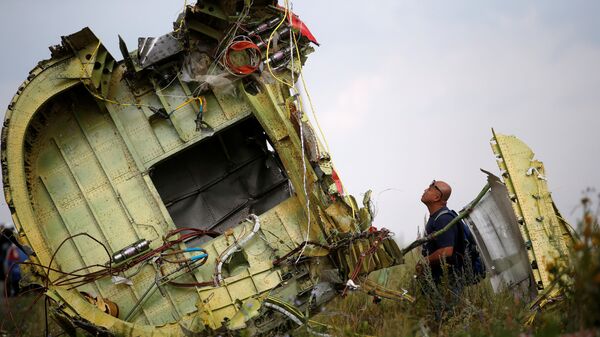 Lugar del siniestro del avión MH17 (archivo) - Sputnik Mundo