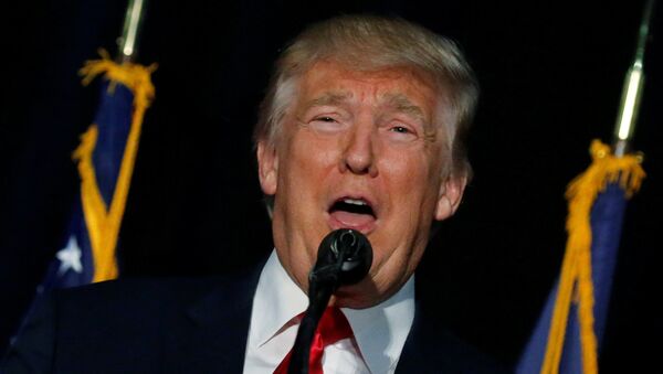 Donald Trump, el candidato a la presidencia de EEUU - Sputnik Mundo