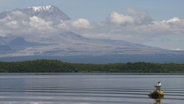 El volcán Shiveluch en la península rusa de Kamchatka - Sputnik Mundo
