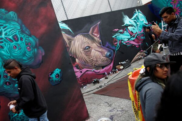 Festival internacional de grafiti en Ciudad de México - Sputnik Mundo