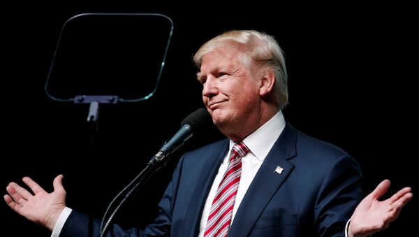 Donald Trump, ganador de las elecciones presidenciales de EEUU 2016 - Sputnik Mundo