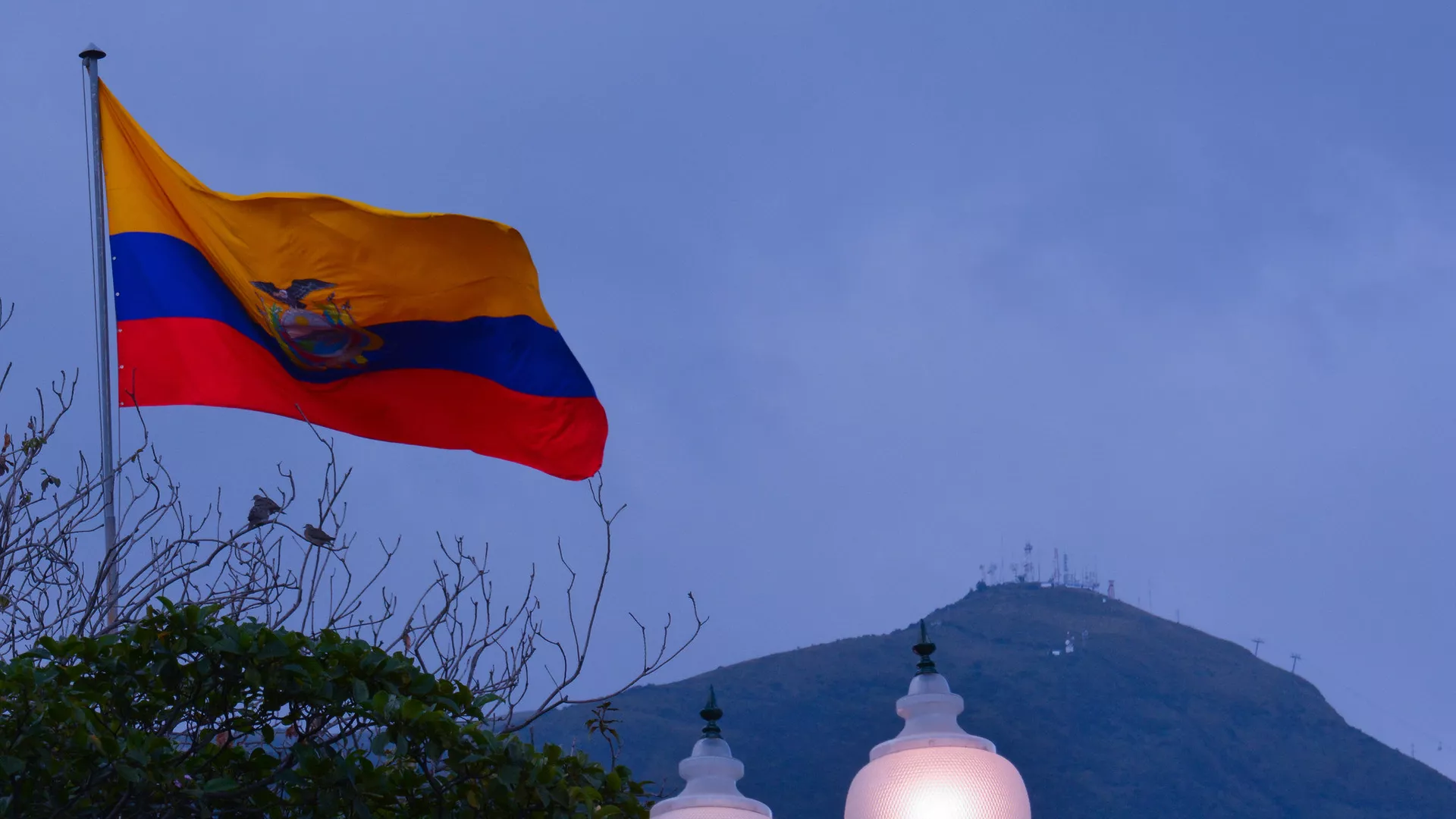 La bandera de Ecuador - Sputnik Mundo, 1920, 13.04.2024