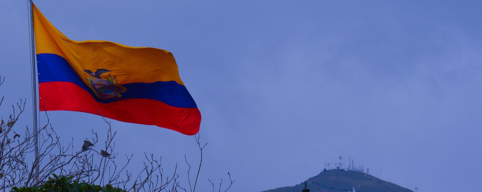 La bandera de Ecuador - Sputnik Mundo, 1920, 09.04.2024