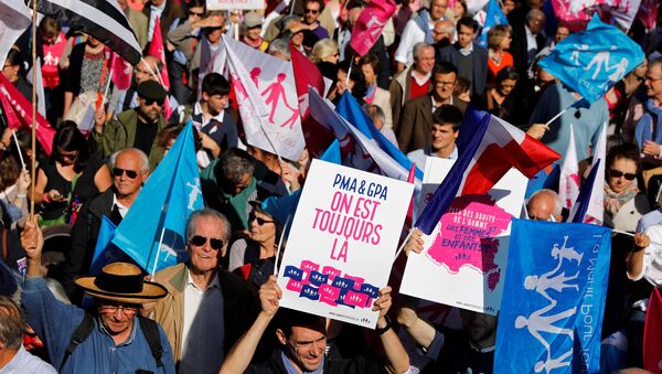 La gente ondea banderas y sostiene carteles con mensajes en la La Manif Pour Tous en París - Sputnik Mundo