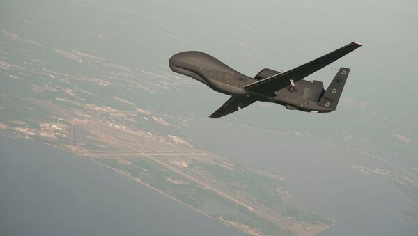 Avión no tripulado de EEUU RQ-4 Global Hawk (archivo) - Sputnik Mundo