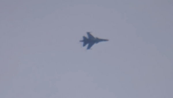 Caza Su-34 filmado en Hama - Sputnik Mundo