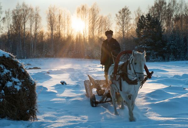 La belleza que se esconde en el duro invierno siberiano - Sputnik Mundo