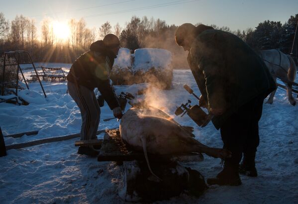 La belleza que se esconde en el duro invierno siberiano - Sputnik Mundo