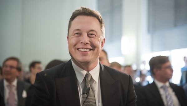 Elon Musk, director jefe de SpaceX y Tesla Motors - Sputnik Mundo