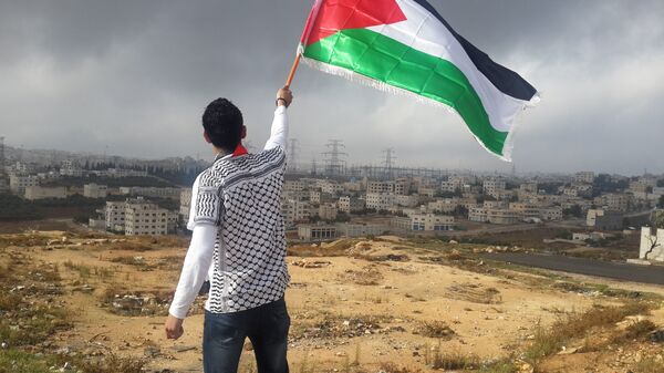 Un hombre con la bandera de Palestina (archivo) - Sputnik Mundo